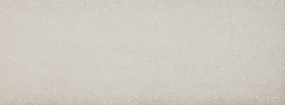 vsszan204662170000161.png