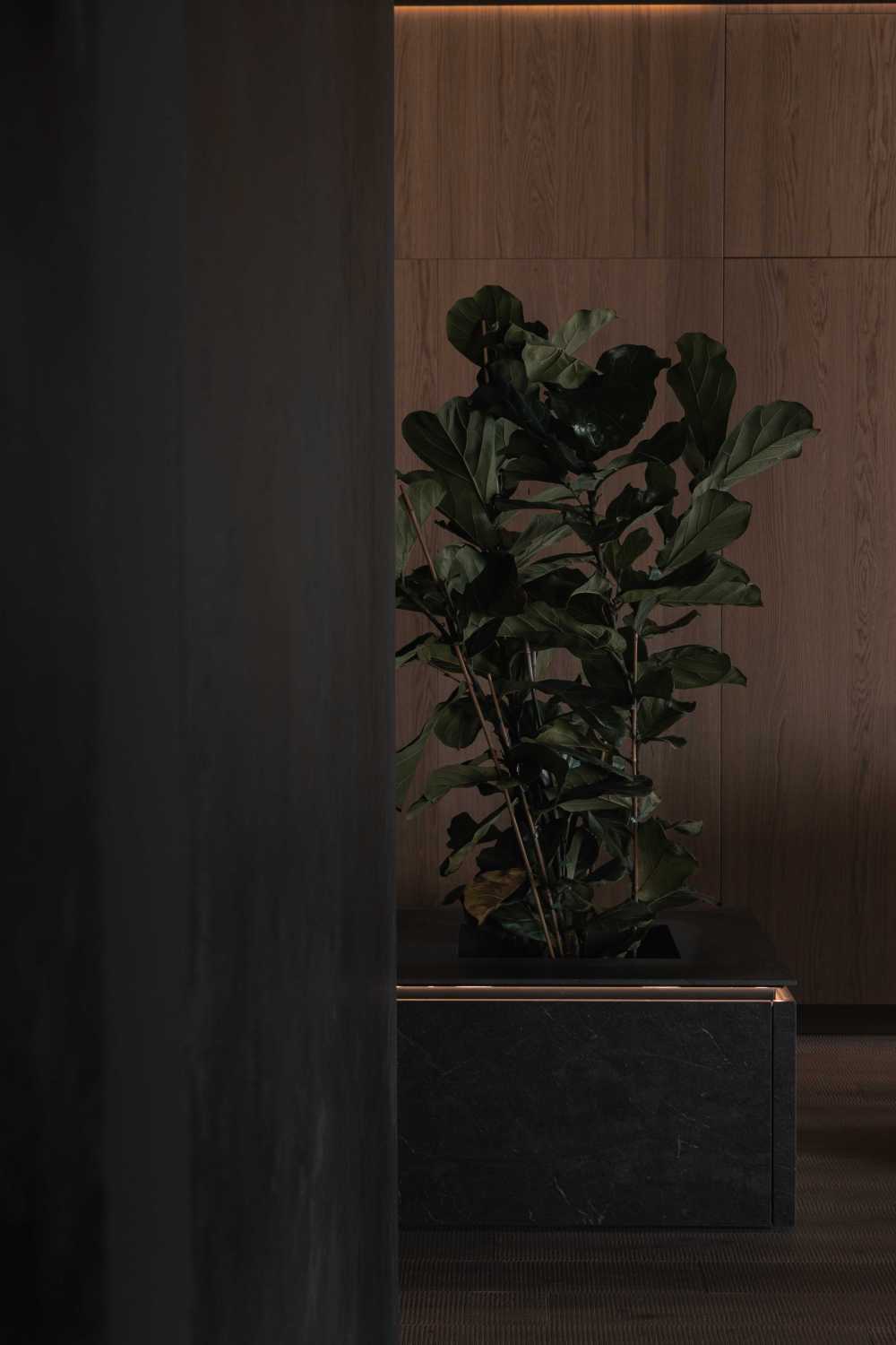 vsszan1209482900581762.jpg vsszan1209482900581762.jpg