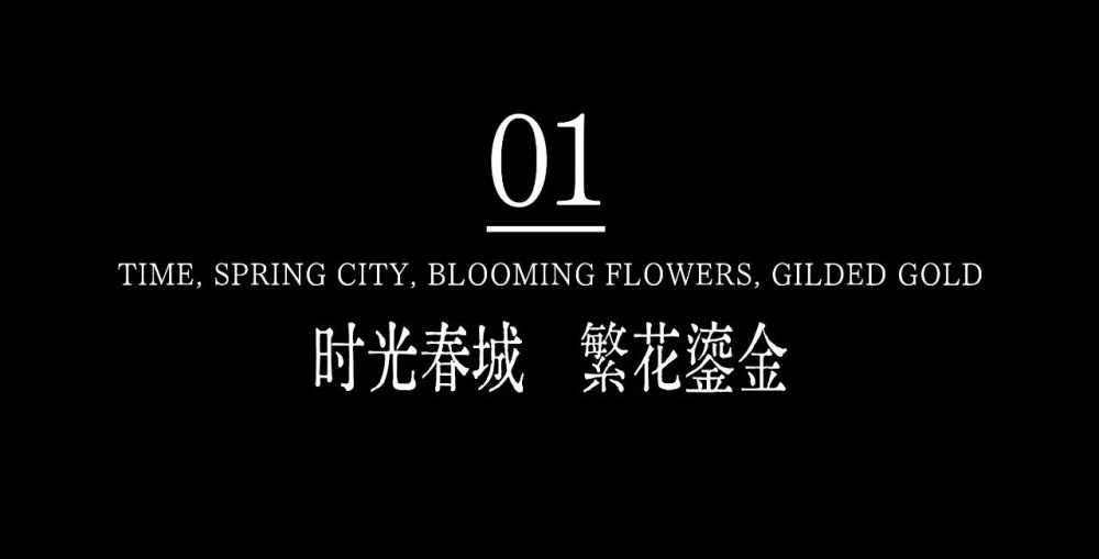 vsszan204920290041034.png vsszan204920290041034.png