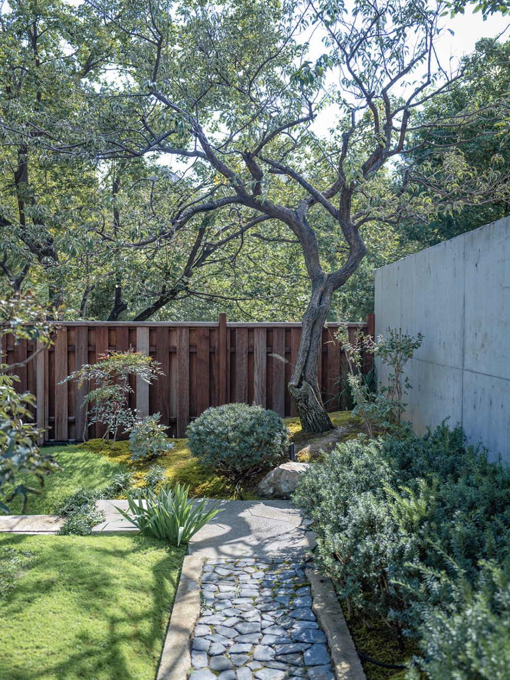 悉昙酒店系列庭院 | 丈山造园 | 2025 | 中国北京_vsszan2053291900520364.png