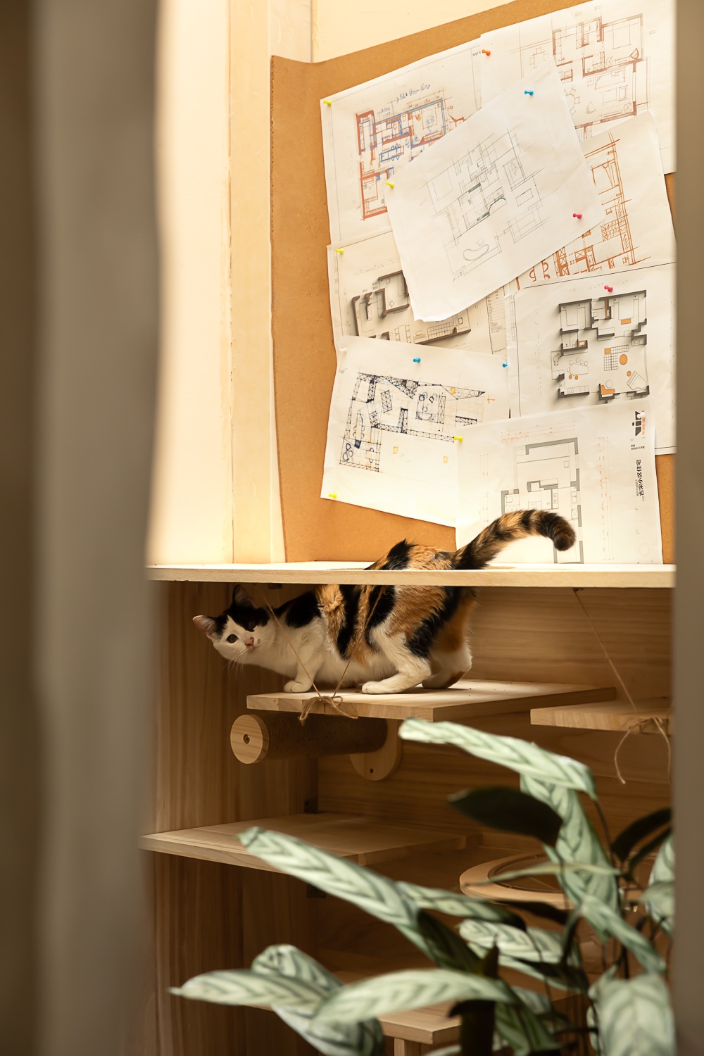 放松的设计办公空间 | WD STUDiO | 2025 |中国上海|_23