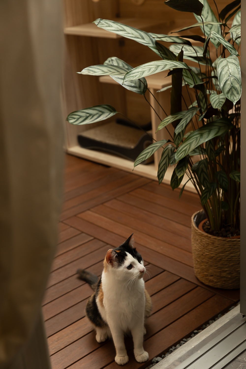 放松的设计办公空间 | WD STUDiO | 2025 |中国上海|_19