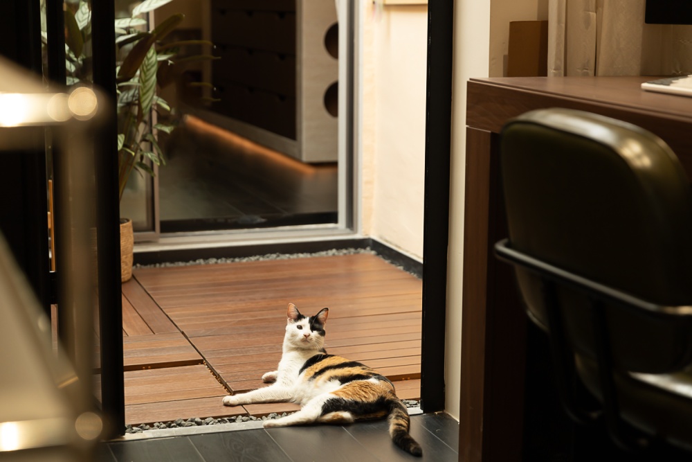 放松的设计办公空间 | WD STUDiO | 2025 |中国上海|_21