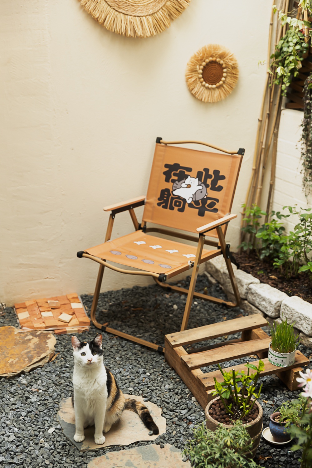 放松的设计办公空间 | WD STUDiO | 2025 |中国上海|_22