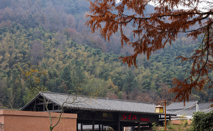 池州红专记民宿 | 苏州右见商业 | 2024 | 中国安徽