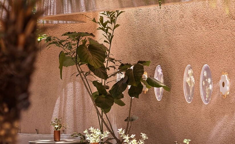 花厨 CAFÉ 深港双店 | 梁筑设计 | 2026 | 中国香港