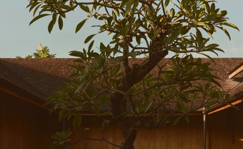 Studio Jencquel｜乌布山谷里的松弛与静谧