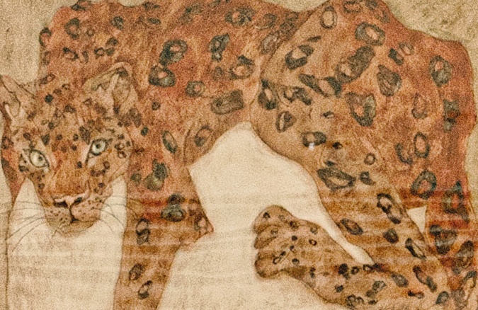 vsszan208460060601471.png