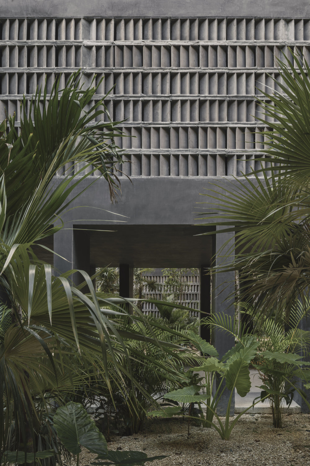vsszan1237871315452822.jpg