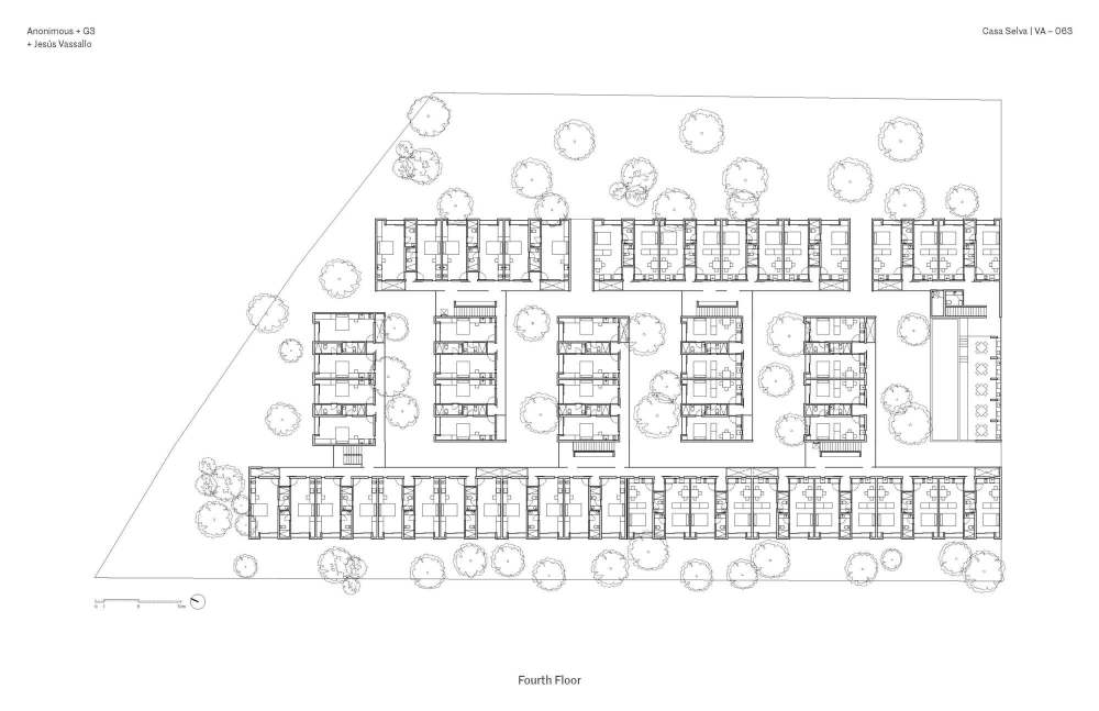 vsszan1237871315452843.jpg