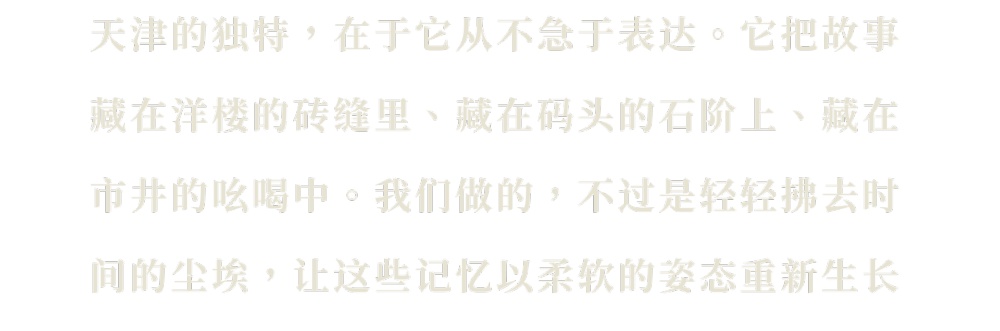vsszan20860713004710101.png