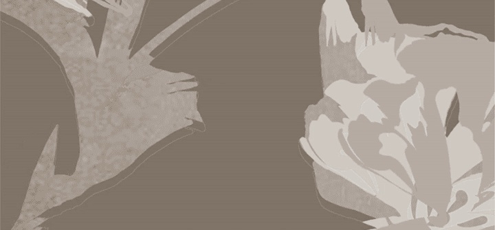 vsszan2086591617020129.gif