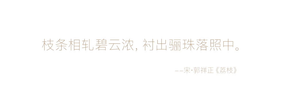vsszan2086591617020132.png
