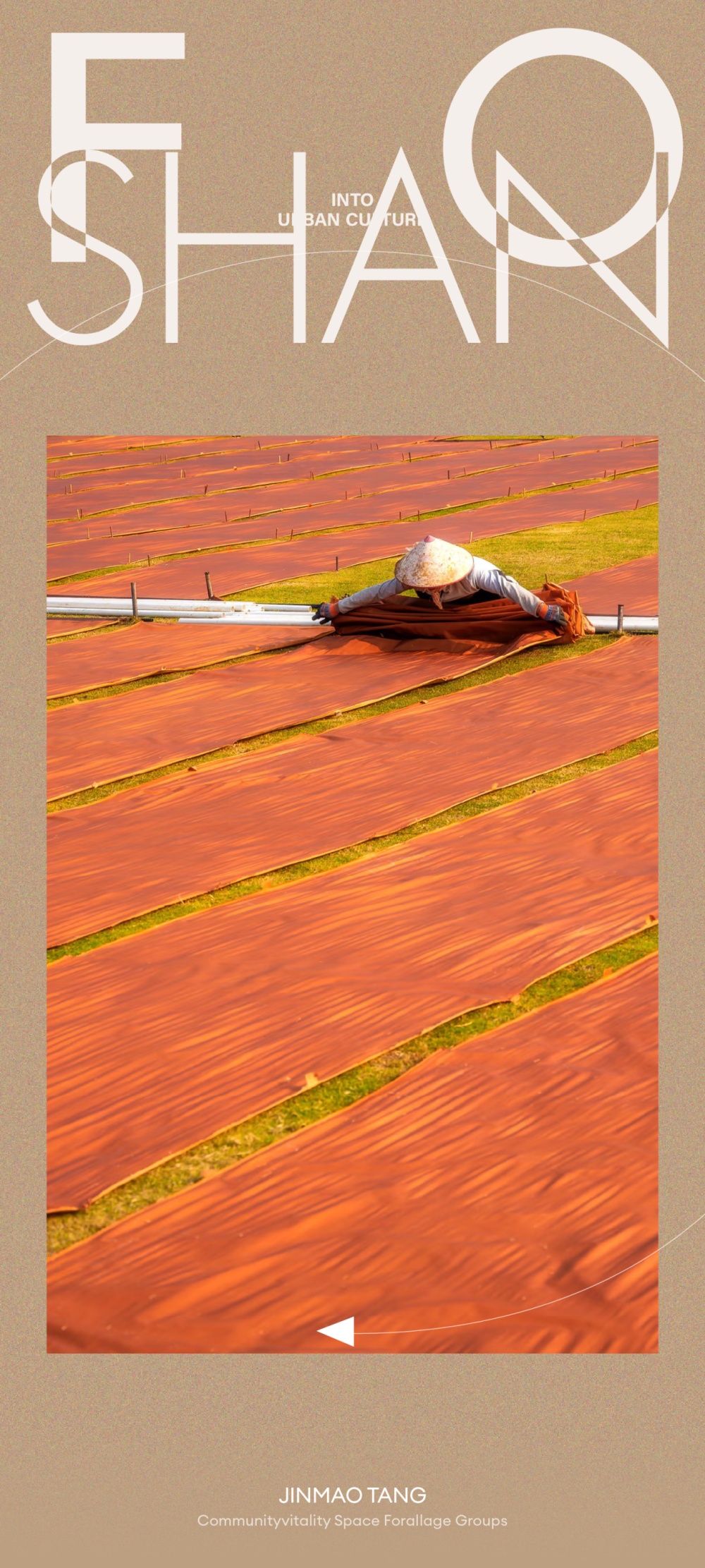 vsszan208659161702015.png
