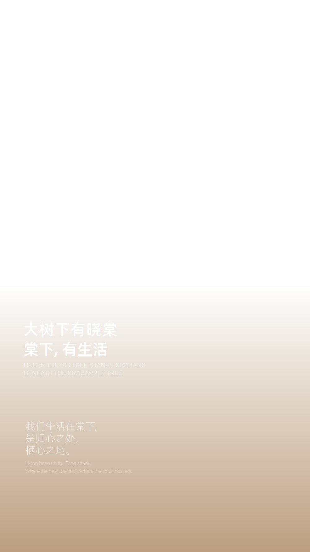 vsszan208659161702018.png