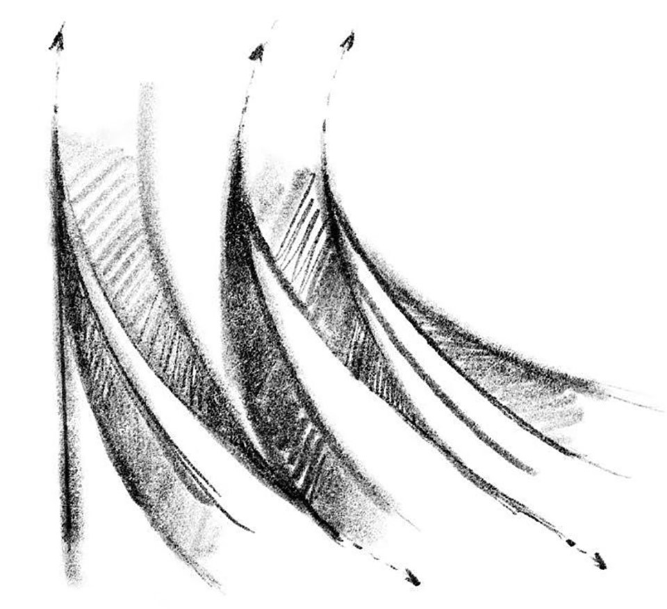 vsszan2086671617581112.jpg