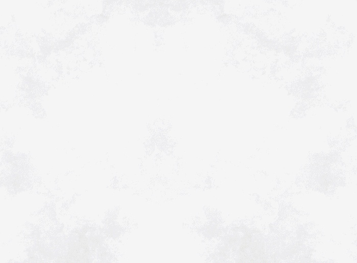 vsszan208721200010165.gif