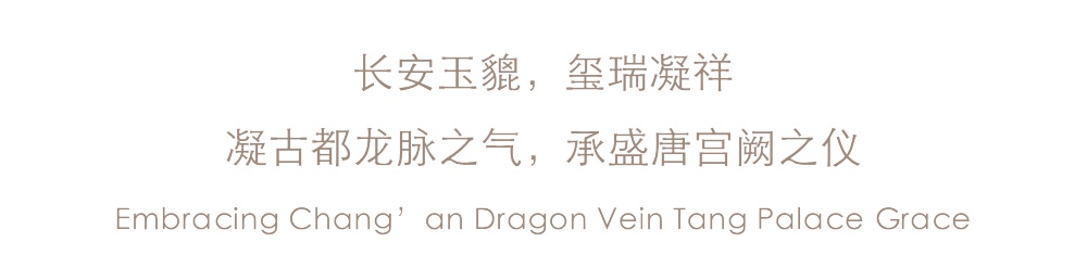 vsszan2087622200541342.png