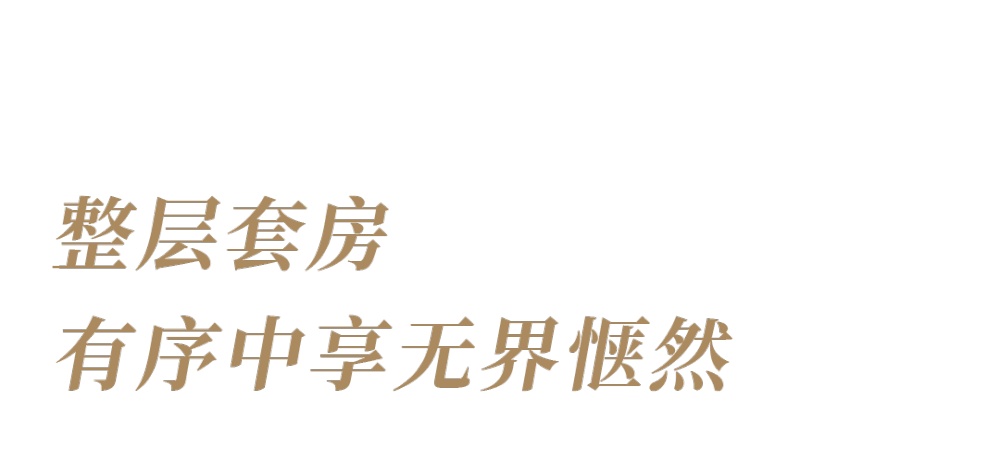 vsszan2088572701121624.png