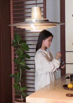 vsszan208915300039286.gif