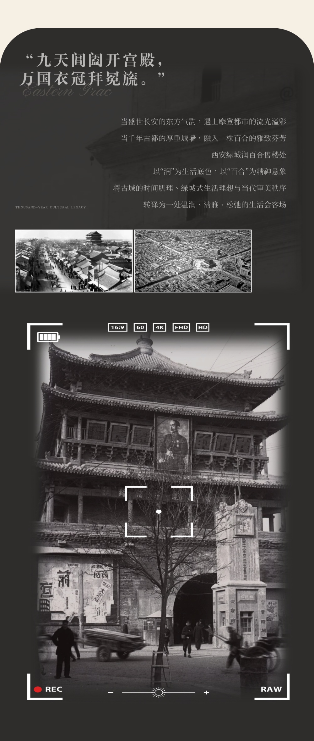 vsszan208924310041223.png