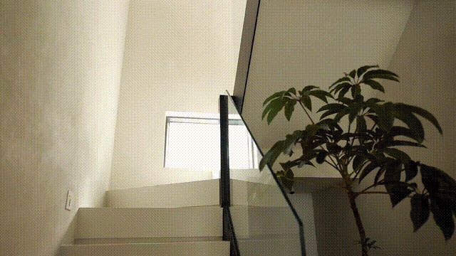vsszan2089273100503325.gif