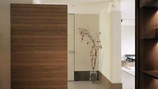 vsszan208927310050337.gif