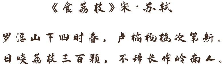 vsszan208993040015082.png