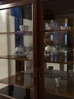 vsszan209042060112108.gif