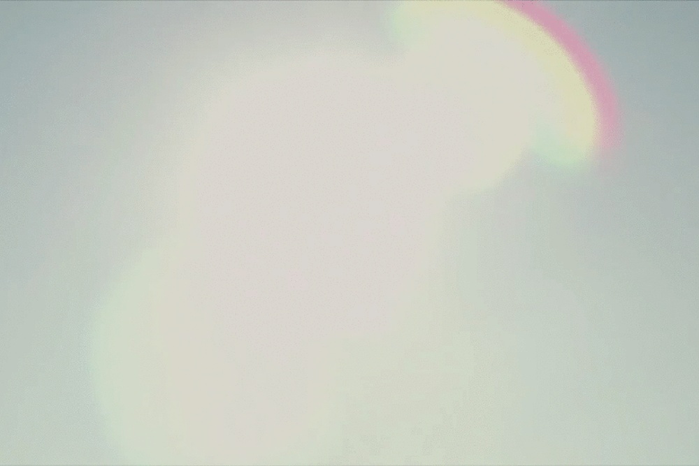 vsszan209107110809383.gif