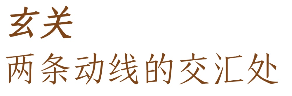 vsszan2091141108332732.png