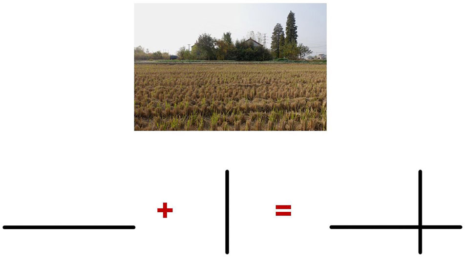 vsszan2091431214210212.jpg