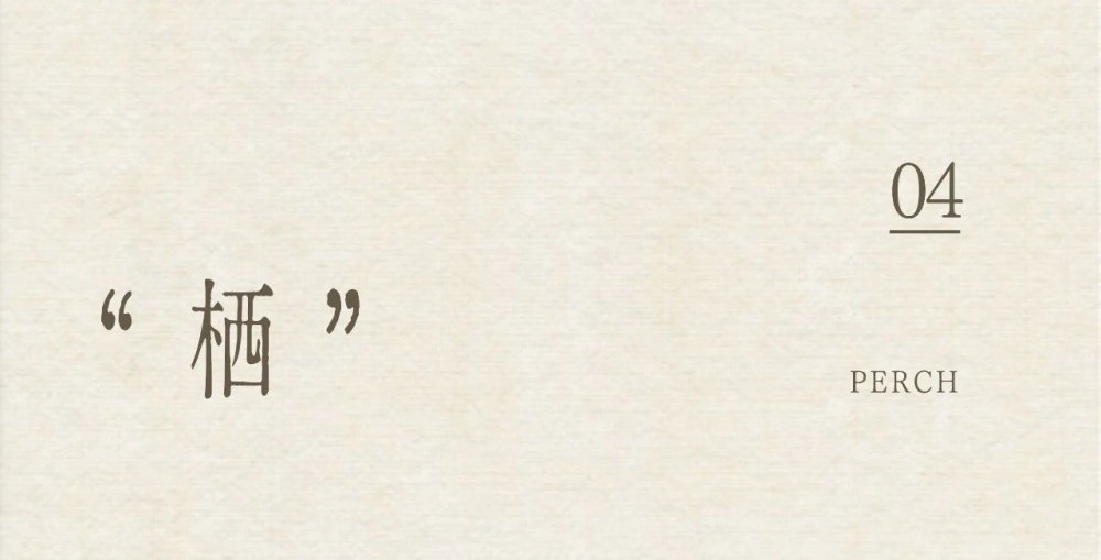 vsszan2091831600262521.png