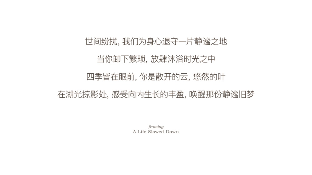 vsszan2091911600515438.png