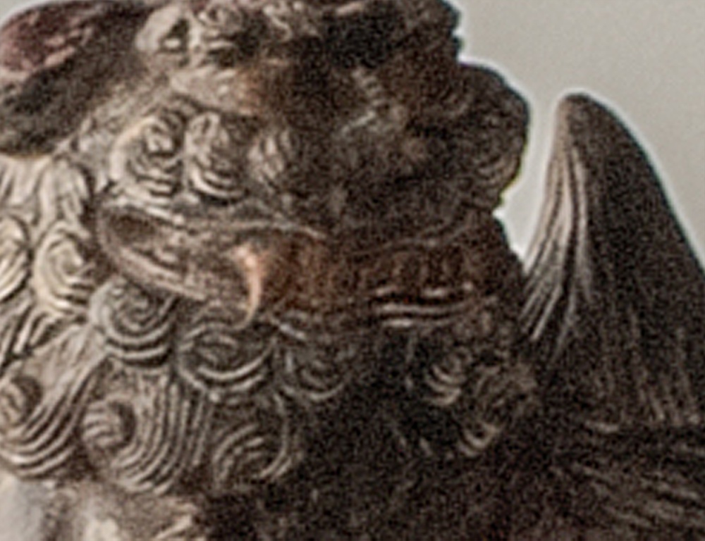 原生之美 | Studio 274_vsszan209230181326493.png
