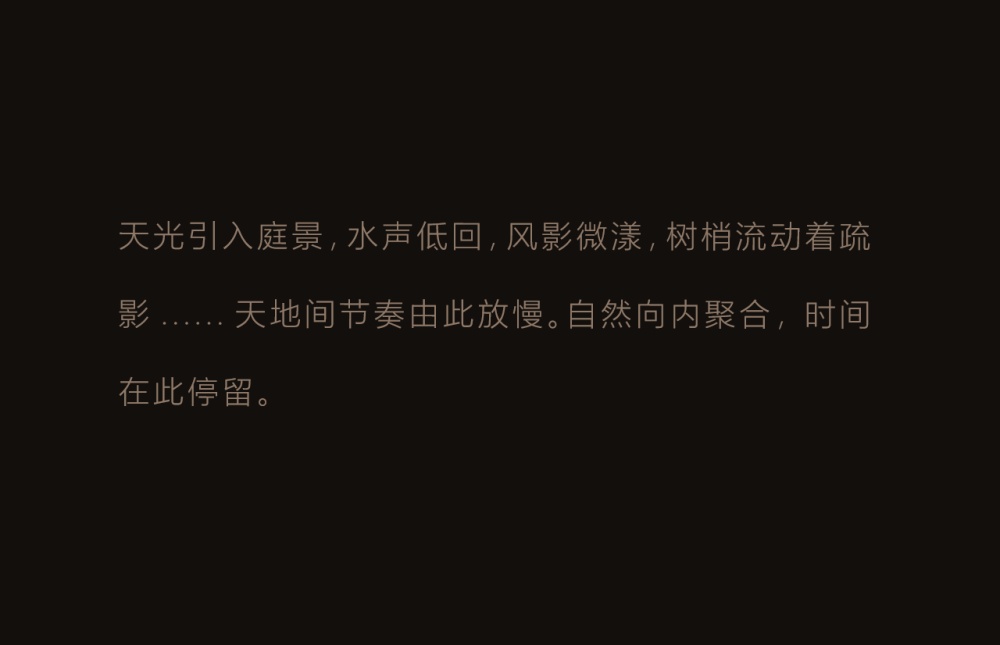 vsszan2092411813593027.png