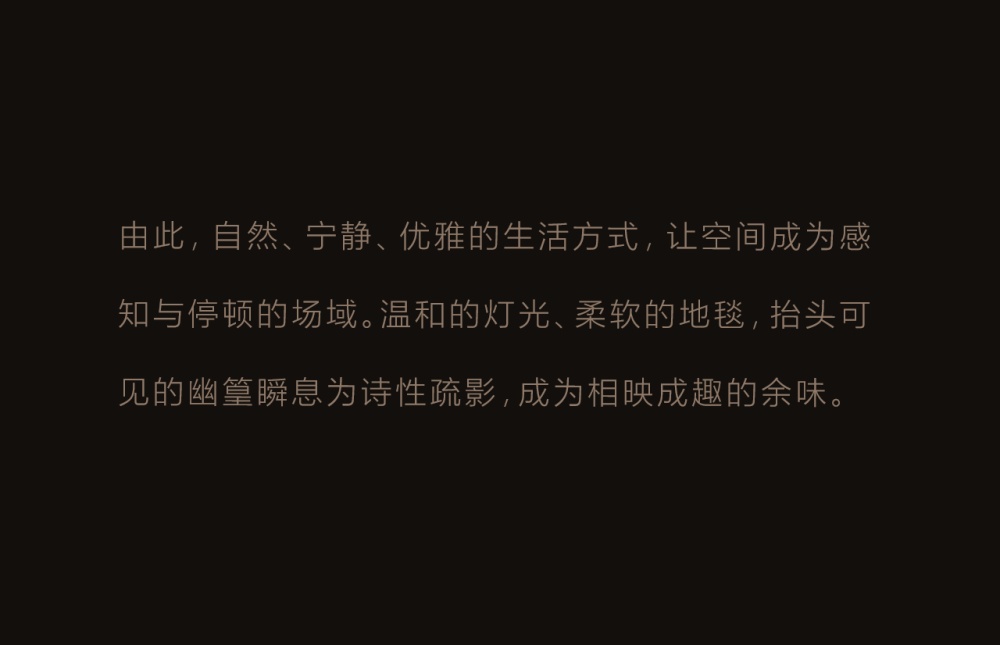 vsszan2092411813593069.png