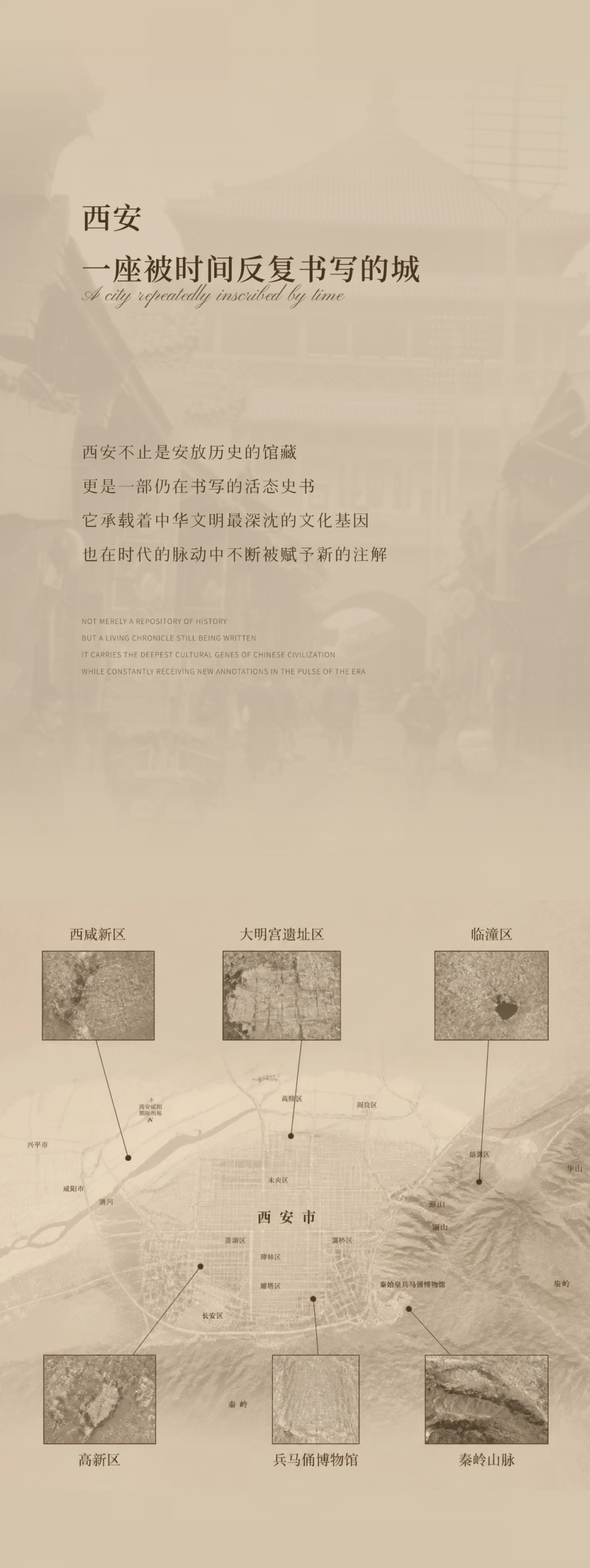 vsszan209257190002012.png