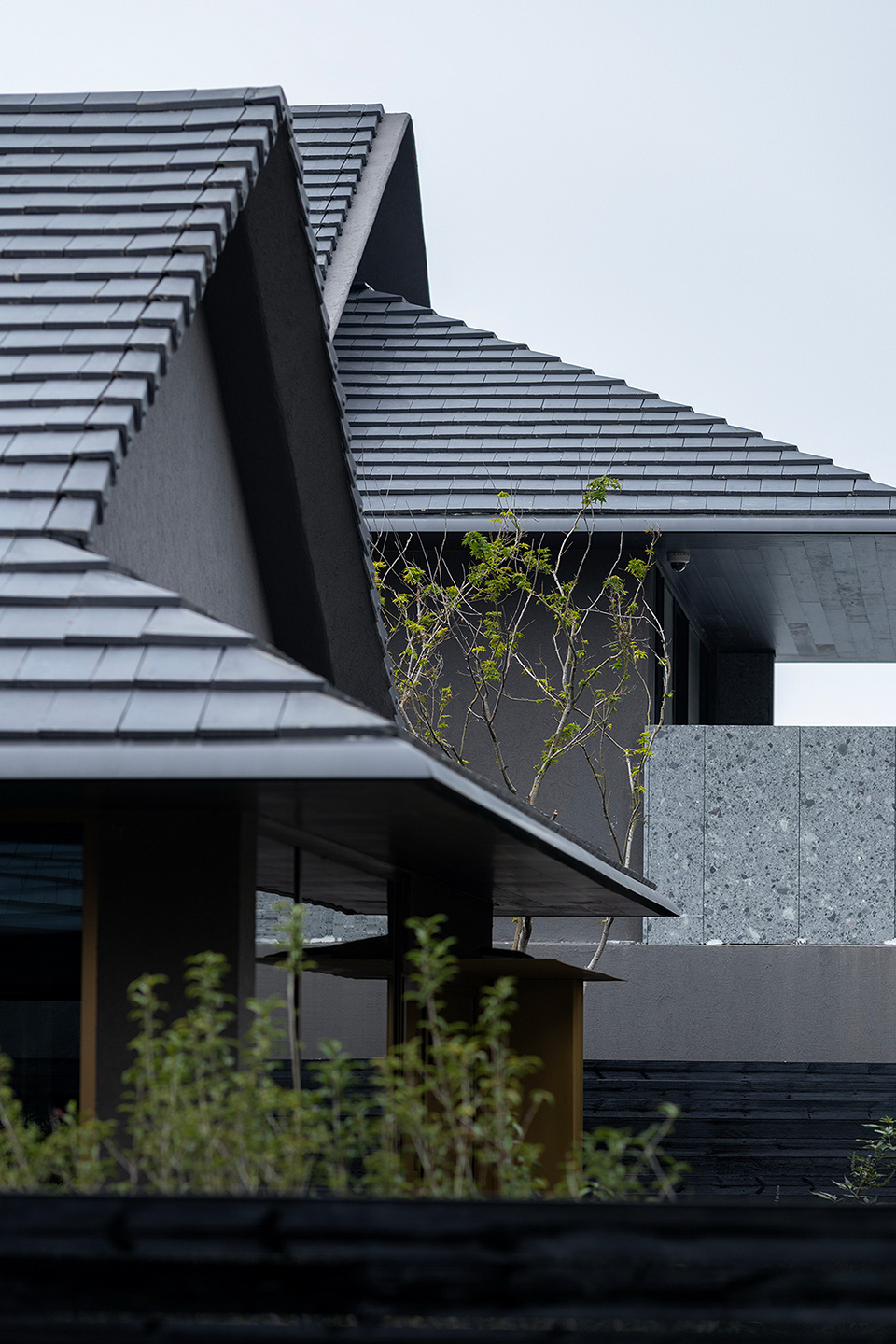 vsszan2092902210162210.jpg