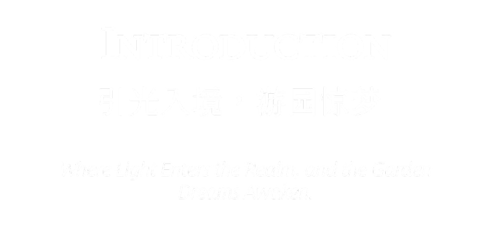 vsszan209359241241224.png