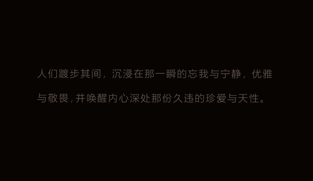 vsszan2094252600130715.png