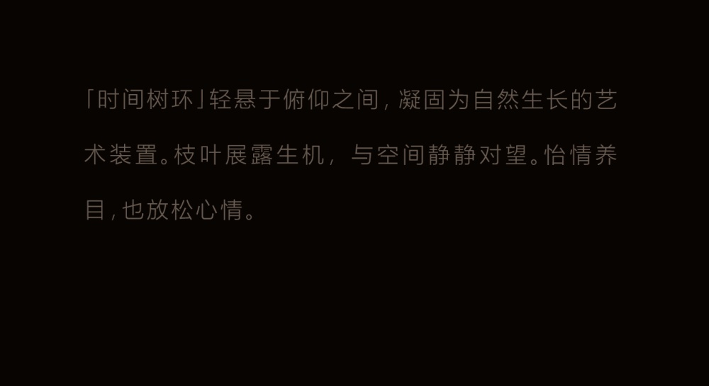 vsszan2094252600130762.png