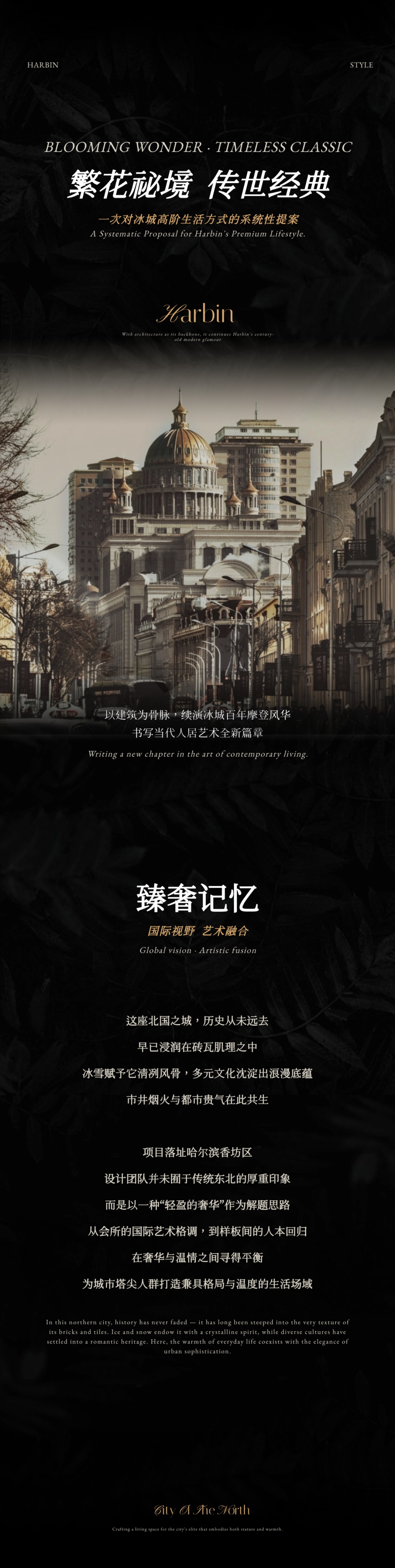 vsszan209451270040352.png