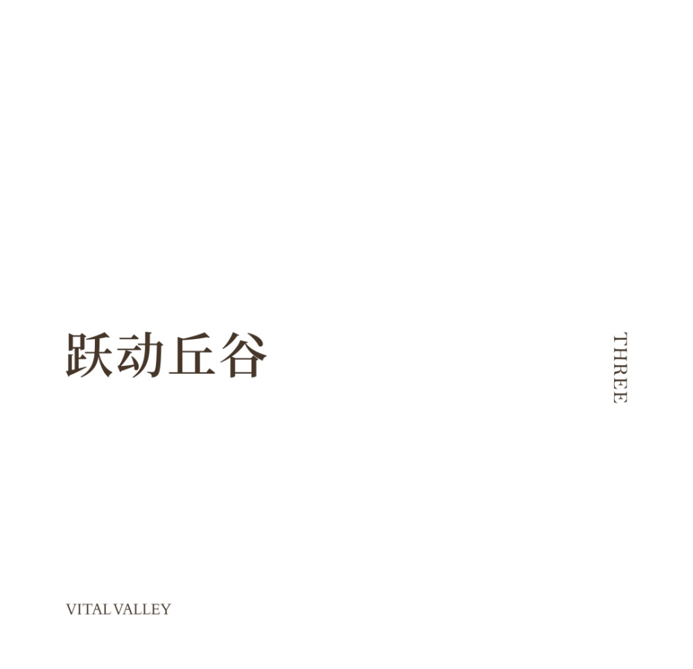 vsszan2095120100413631.png