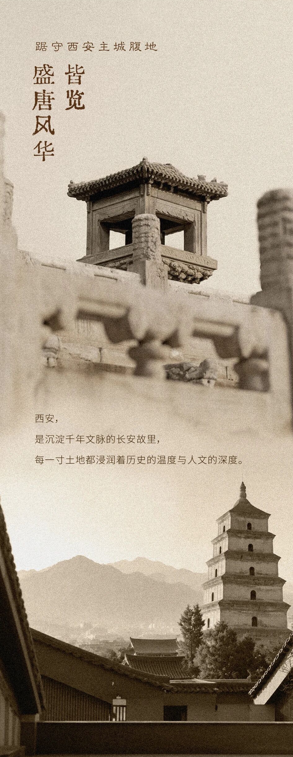 vsszan209549030002122.png