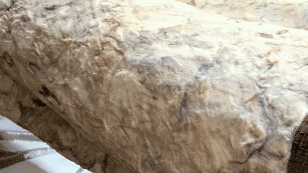 vsszan2095520300103436.gif