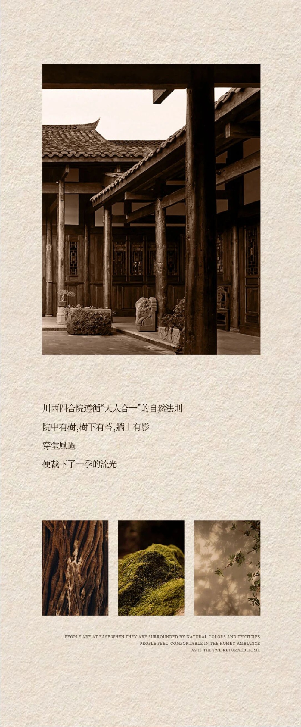 vsszan209554030054564.png