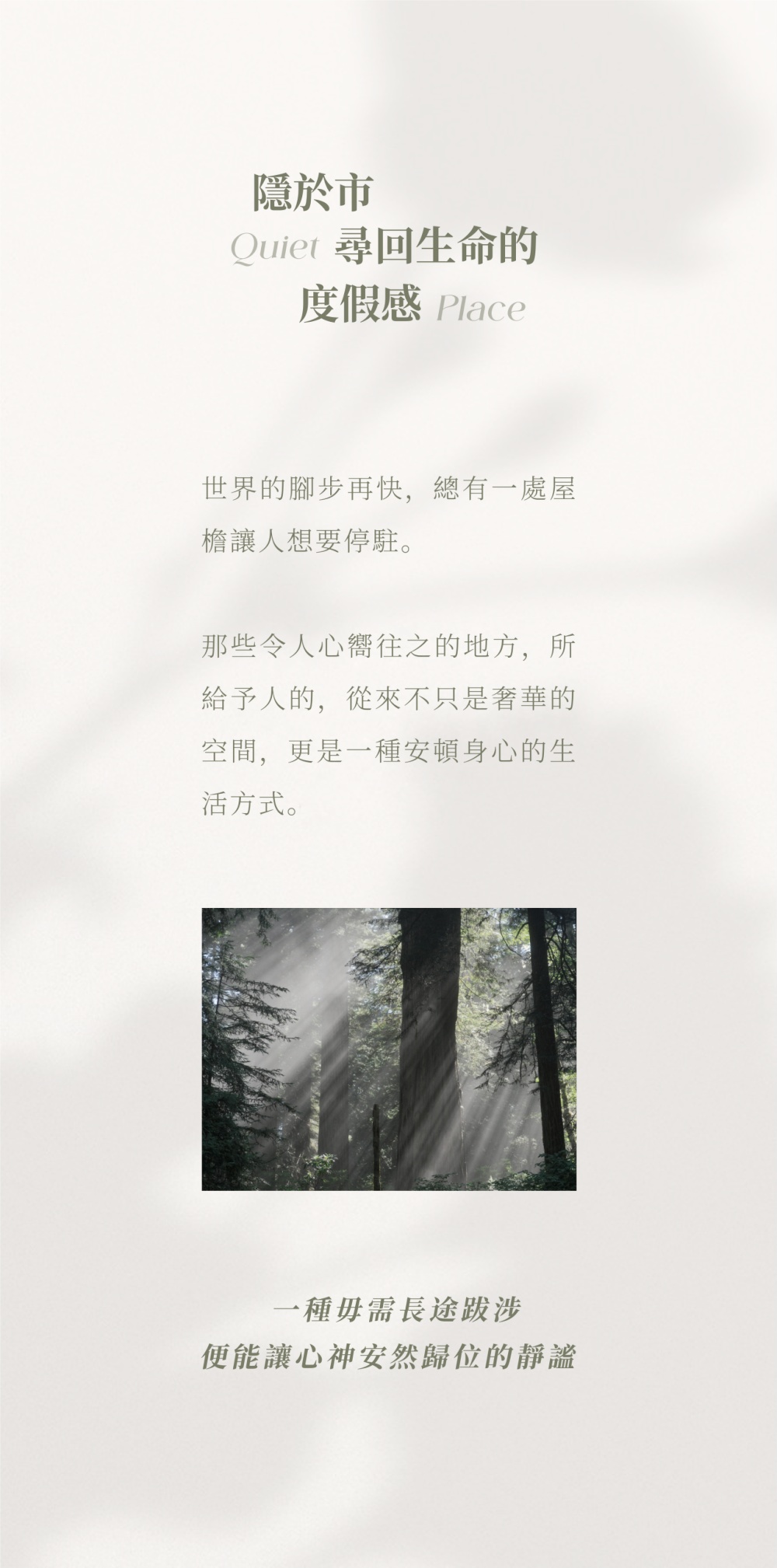 vsszan209602070914322.png