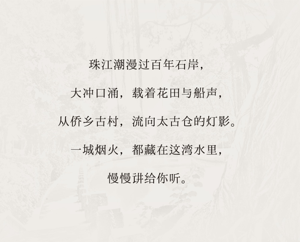vsszan209631080028013.png