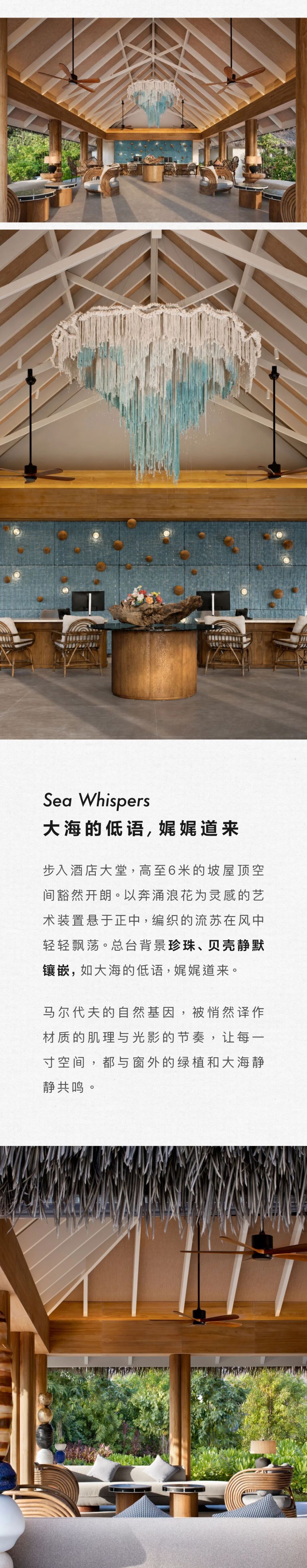 vsszan210753061429264.png